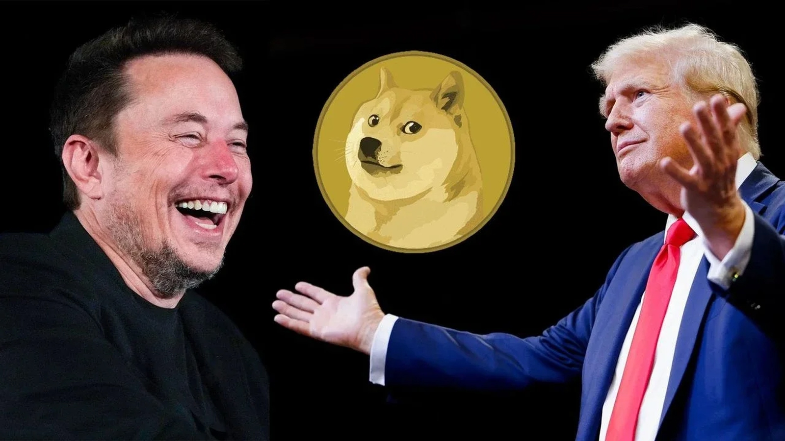 762 elon musk doge bakani oldu doge ne demek kelime anlami ne hukumet verimliligi bakanligi ne is